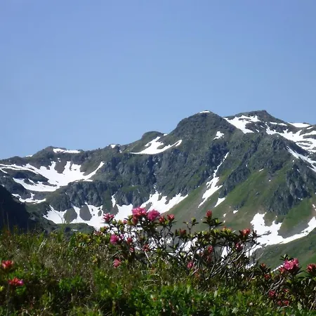 Daire Suggadin Sankt Gallenkirch